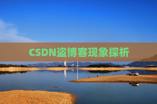 CSDN盗博客现象探析 CSDN盗博客现象探析